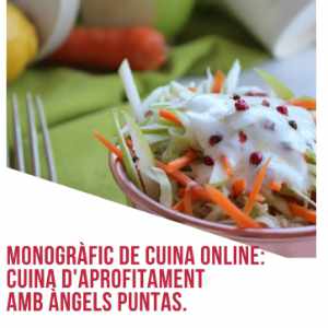 Monogràfic de cuina Online